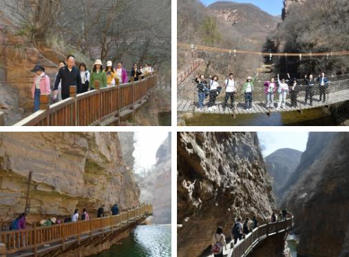 1678440043398040.jpg image.jpg